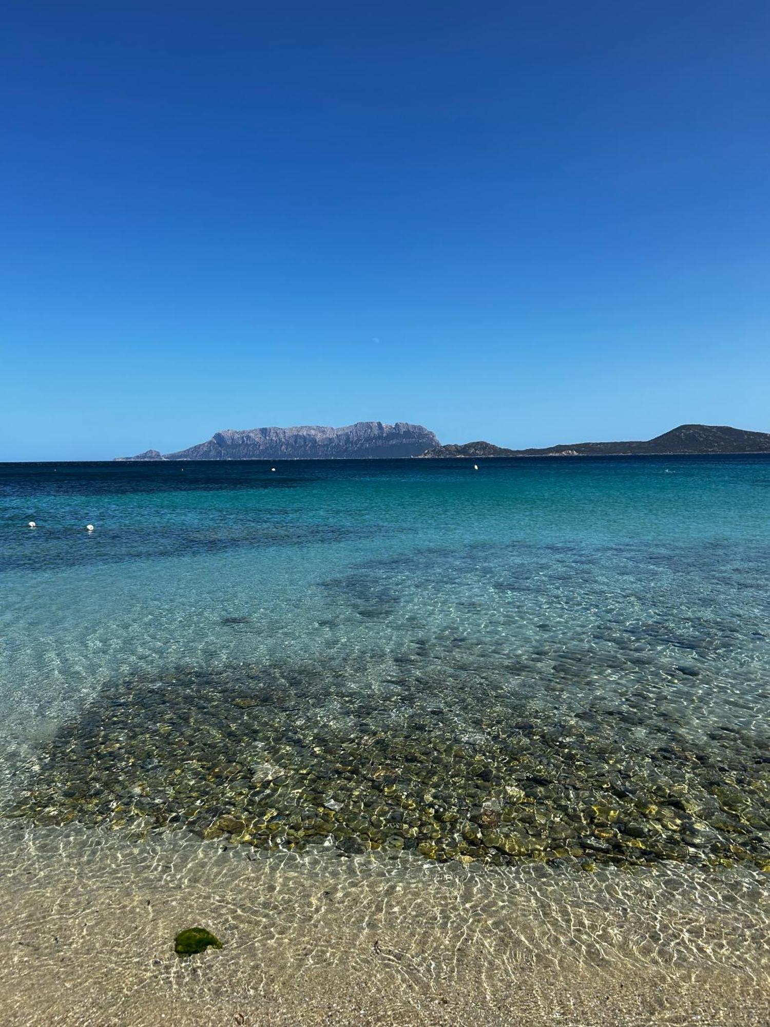 Villa Ulivo Olbia Eksteriør billede